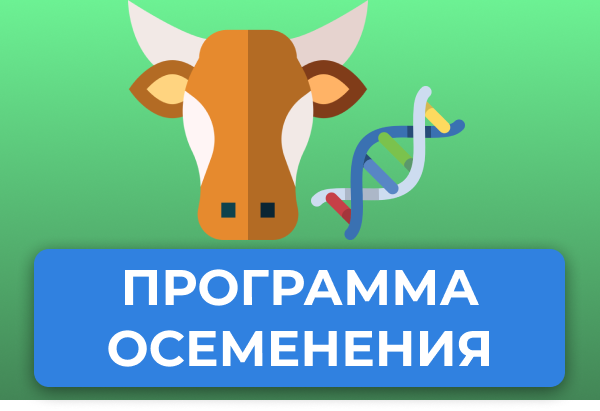 Программы осеменения