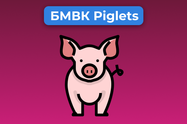 БМВК Piglets