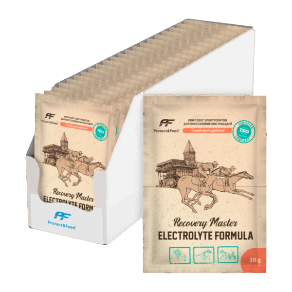 Recovery Master - Электролиты