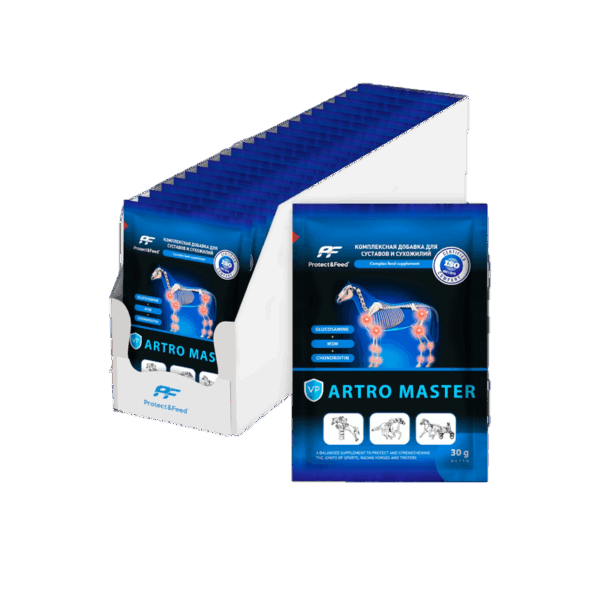 Artro Master. Хондропротектор